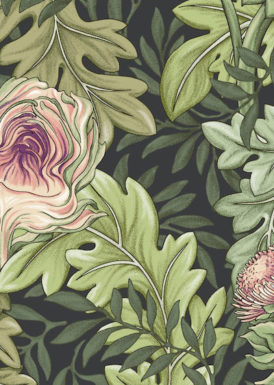 Echantillon Papier peint Cyrana Jungle