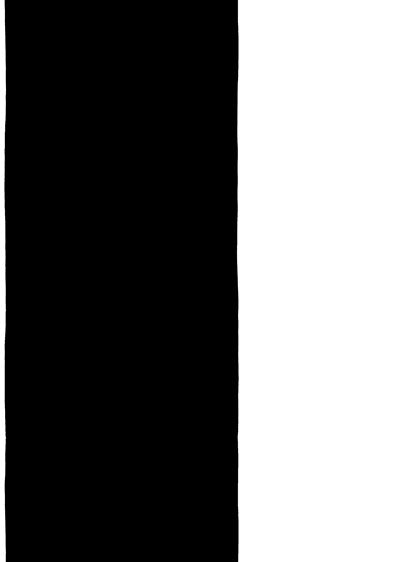 Echantillon papier peint rayures larges noir