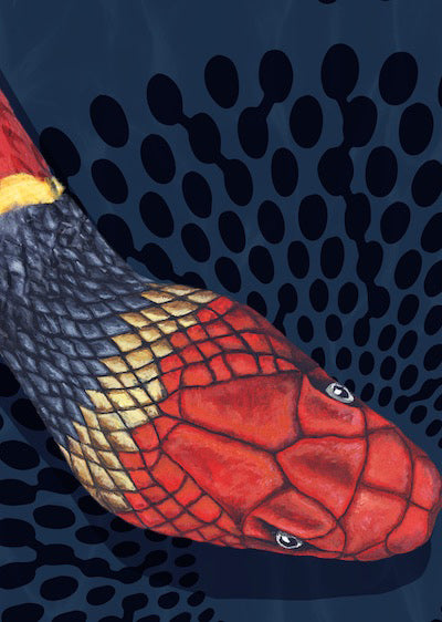 Echantillon Papier peint Snake