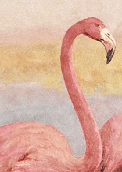 Echantillon Papier peint Pink Flamingeos