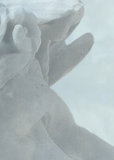 Echantillon Papier peint Zeus