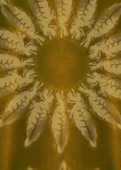 Echantillon Papier peint Etamine