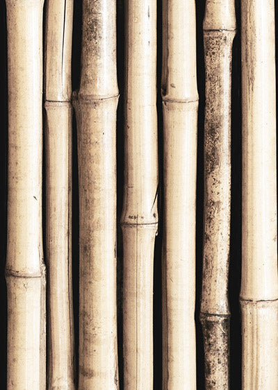 Echantillon Papier peint Bambou clair Deboo