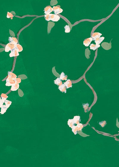 Echantillon Papier peint Cherry Blossoms